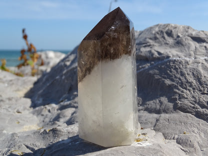 Faceted Rutilated Smoky Quartz