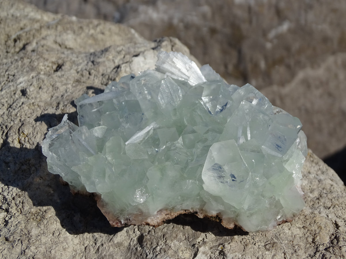 Apophyllite Verte et Scolécite