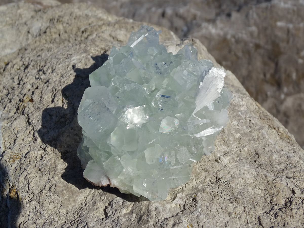 Apophyllite Verte et Scolécite
