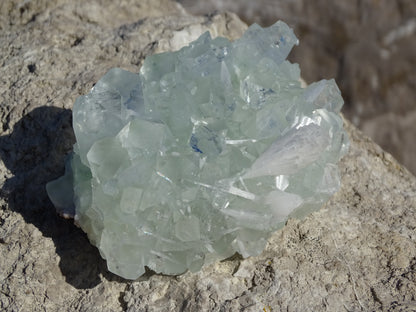 Apophyllite Verte et Scolécite