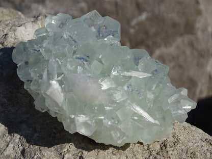 Apophyllite Verte et Scolécite