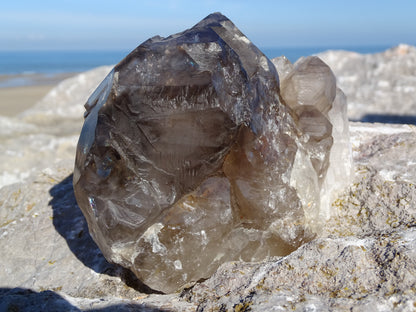 Quartz Fumé Jacaré