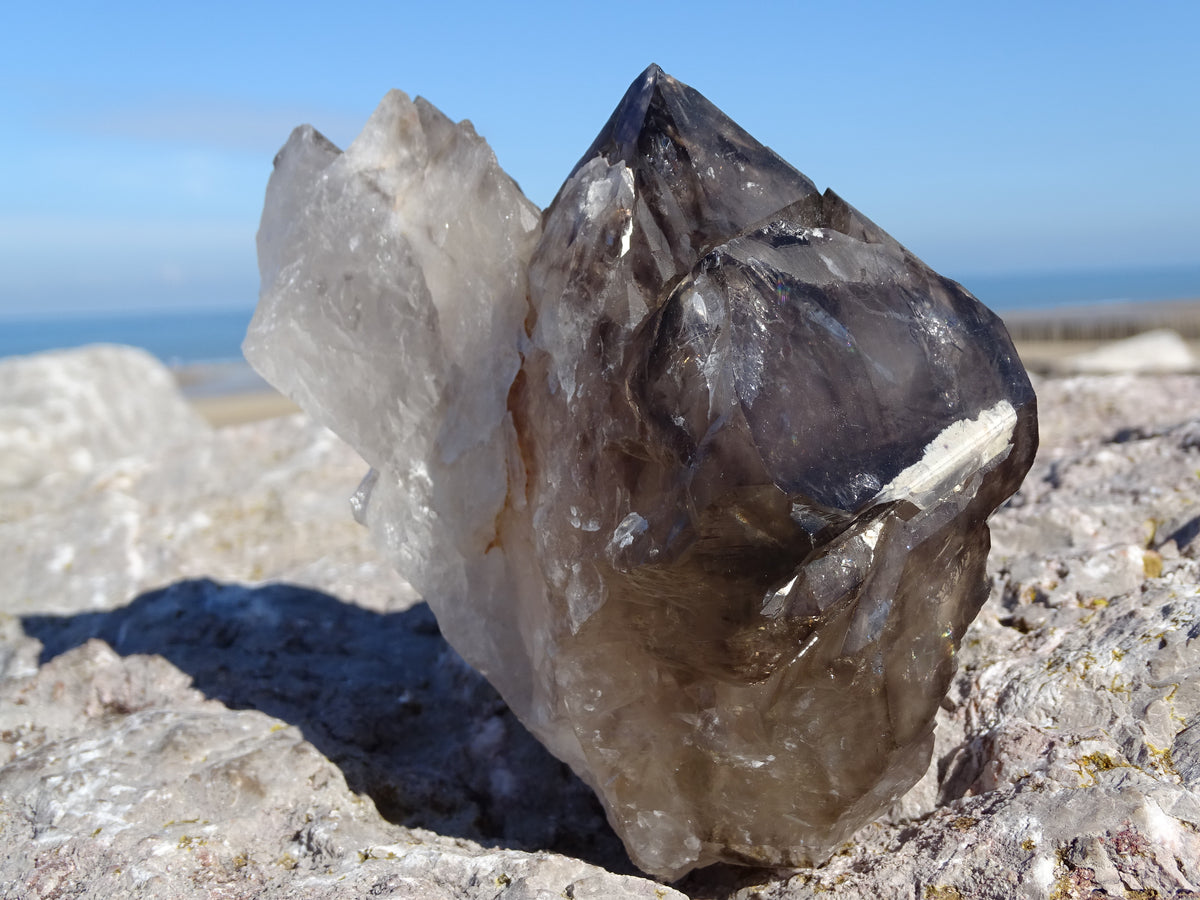 Quartz Fumé Jacaré