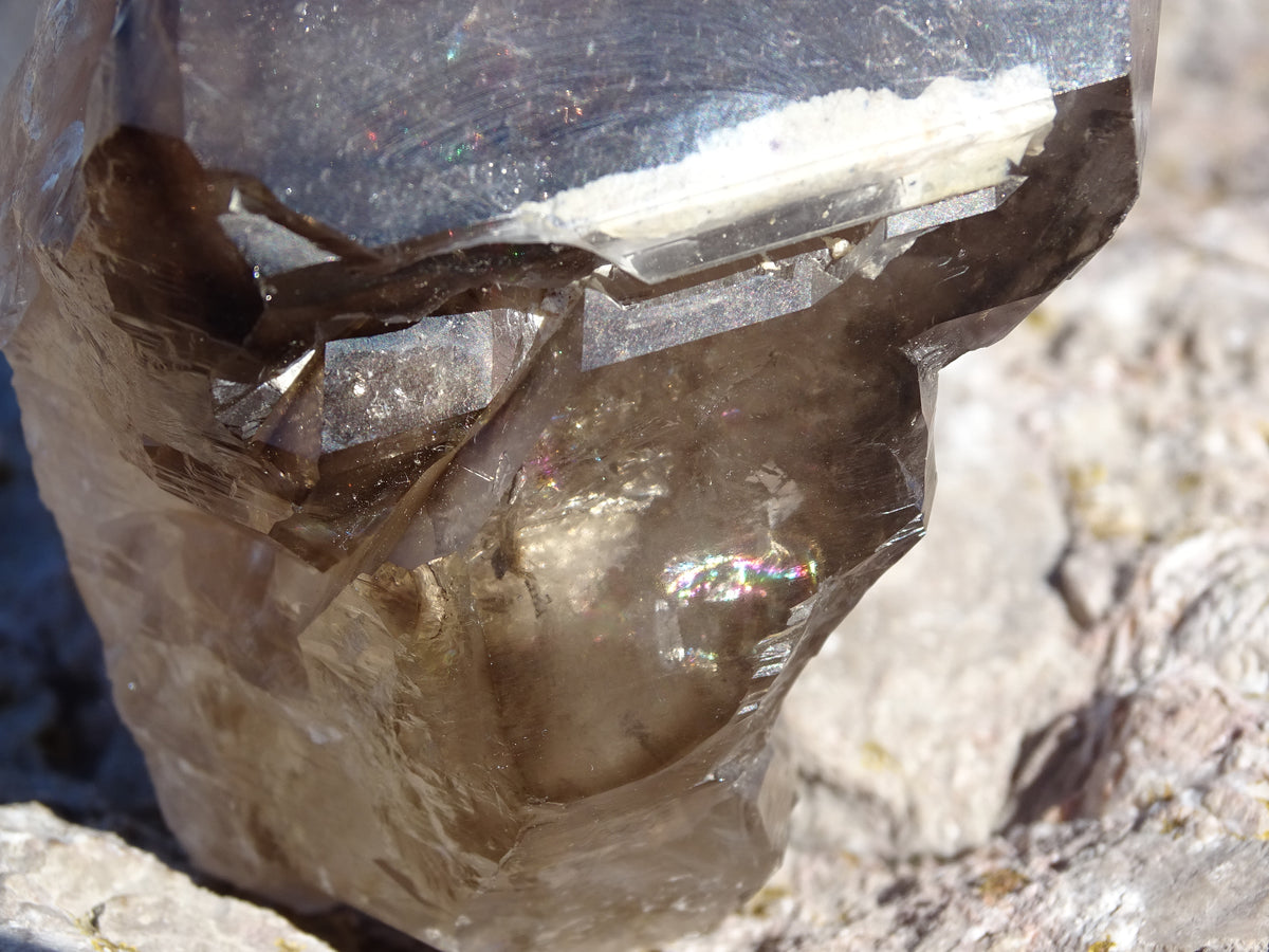 Quartz Fumé Jacaré
