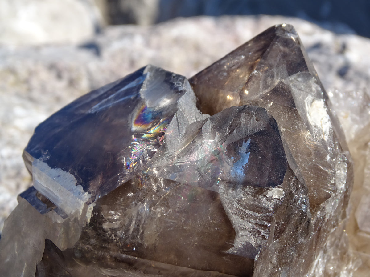 Quartz Fumé Jacaré