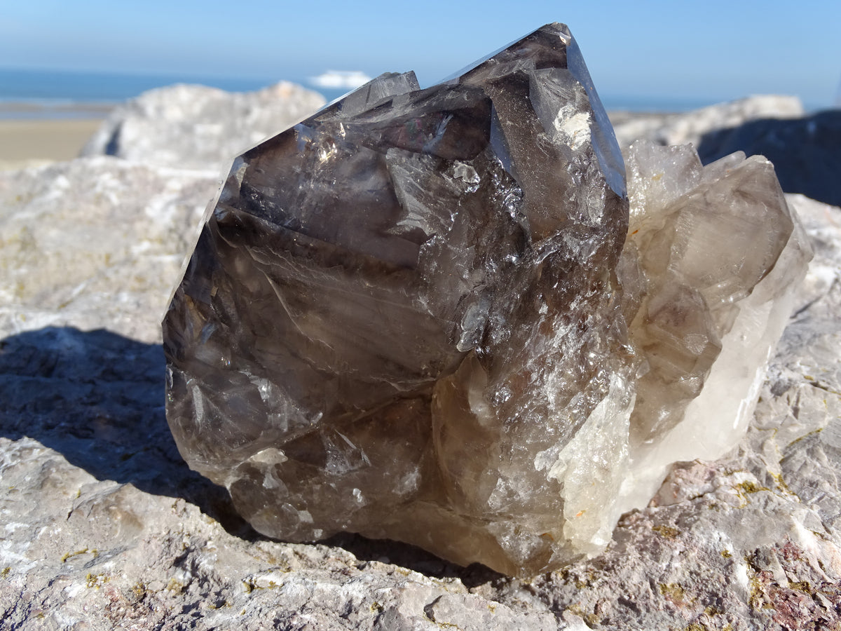 Quartz Fumé Jacaré