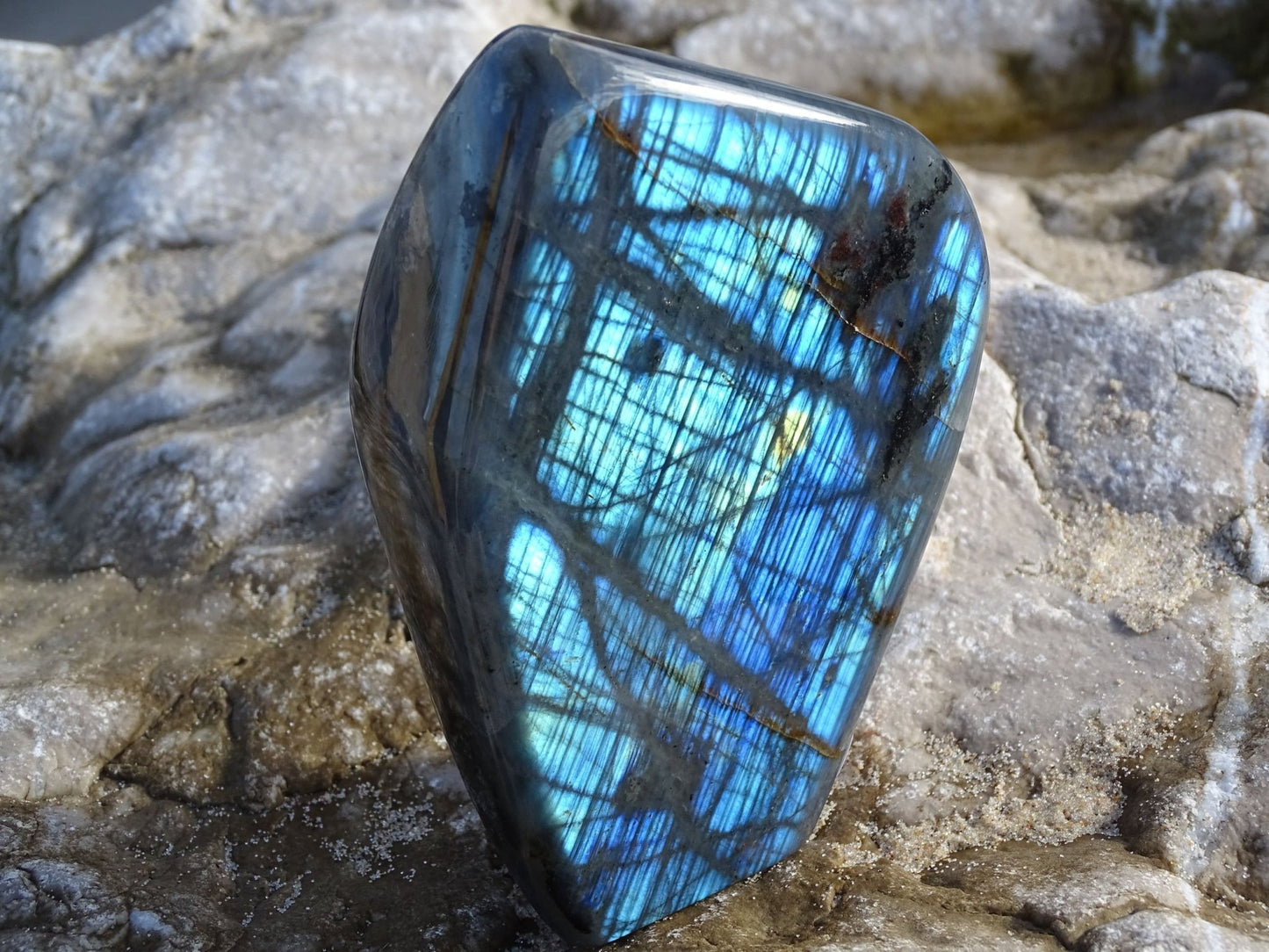Labradorite Forme Libre - Pierres - Colibri Minéraux et Bien-être