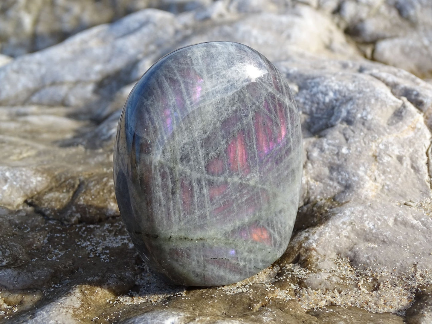 Labradorite Forme Libre - Pierres - Colibri Minéraux et Bien-être