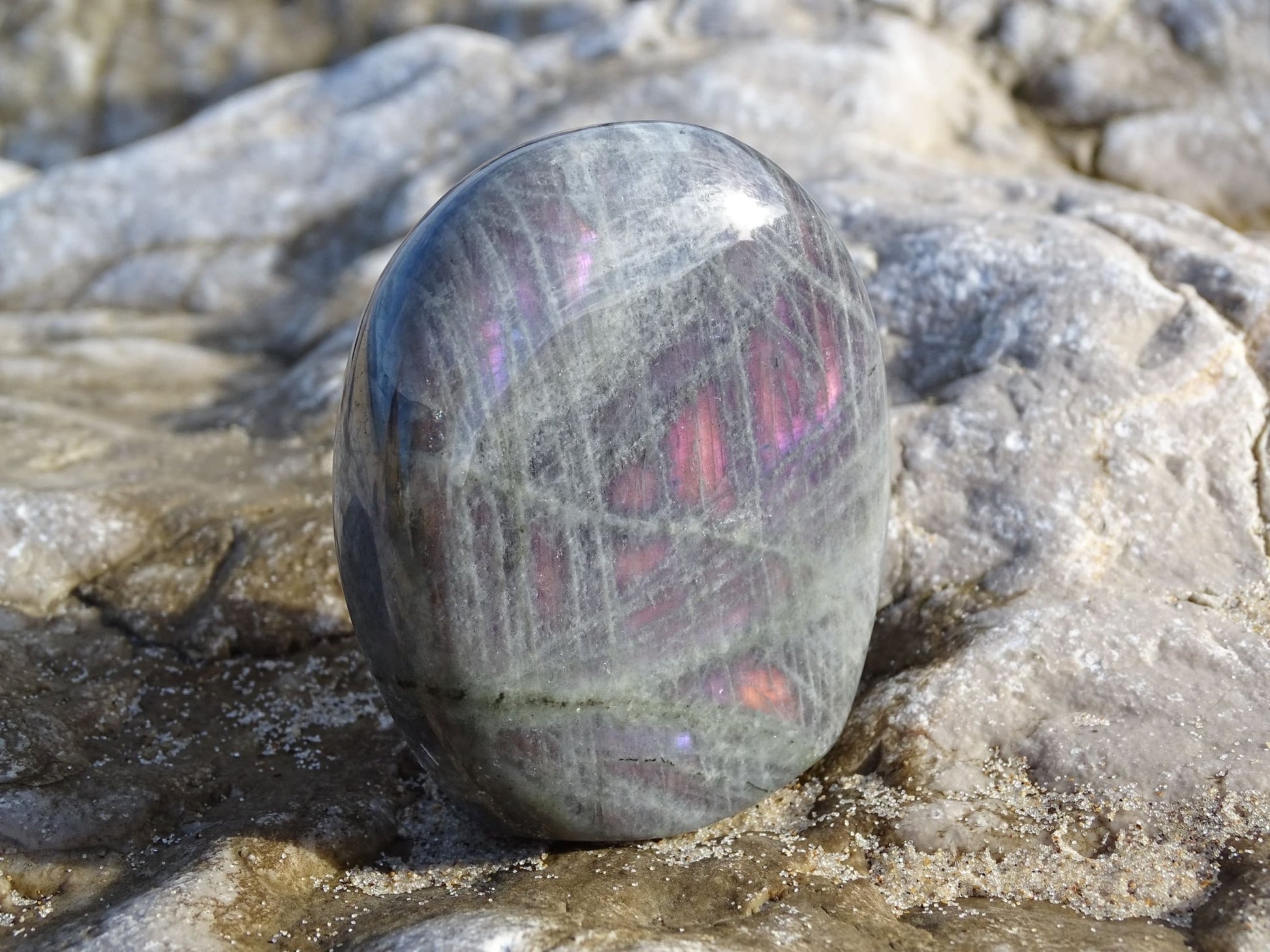 Labradorite Forme Libre - Pierres - Colibri Minéraux et Bien-être