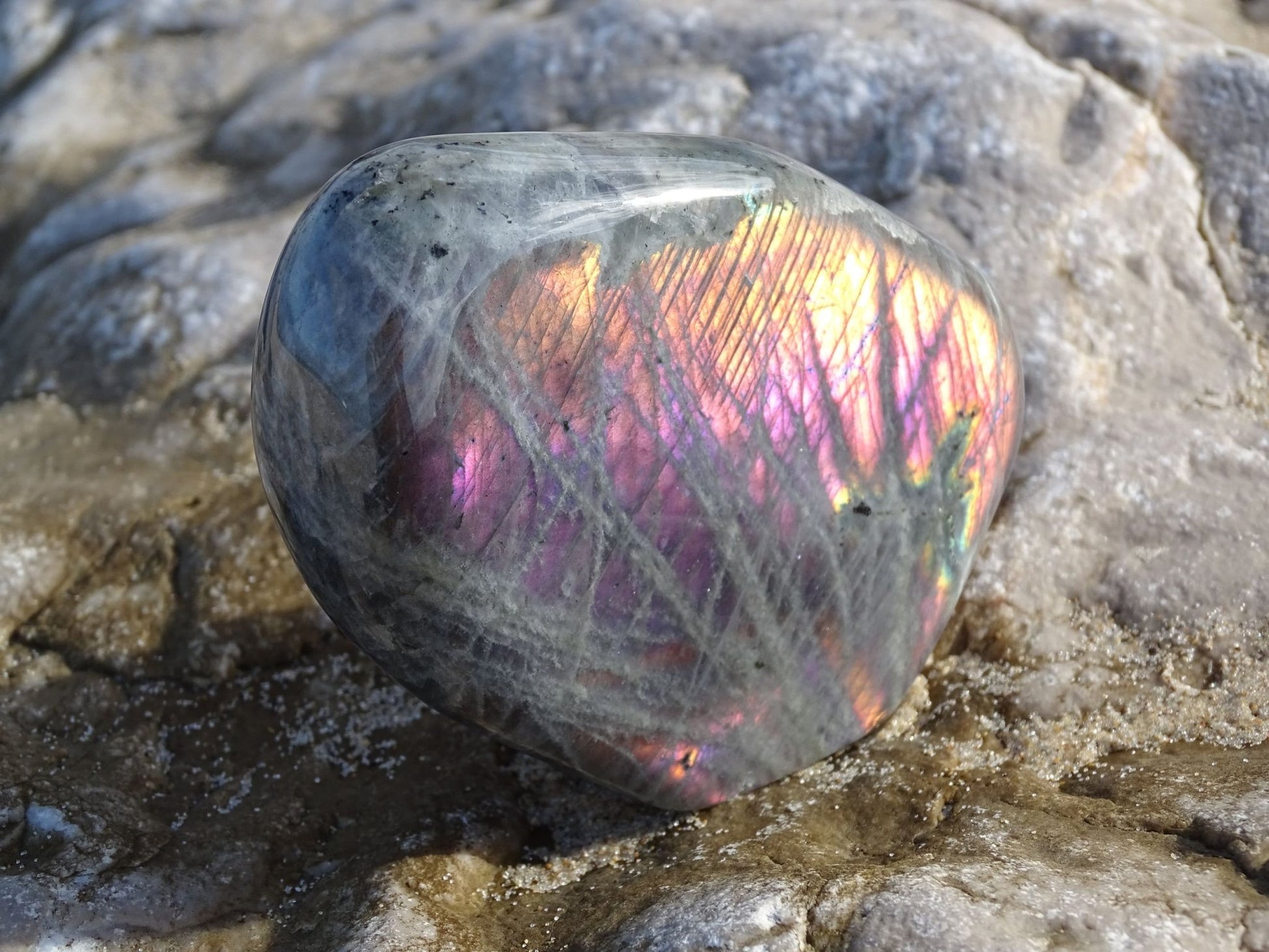 Labradorite Forme Libre - Pierres - Colibri Minéraux et Bien-être