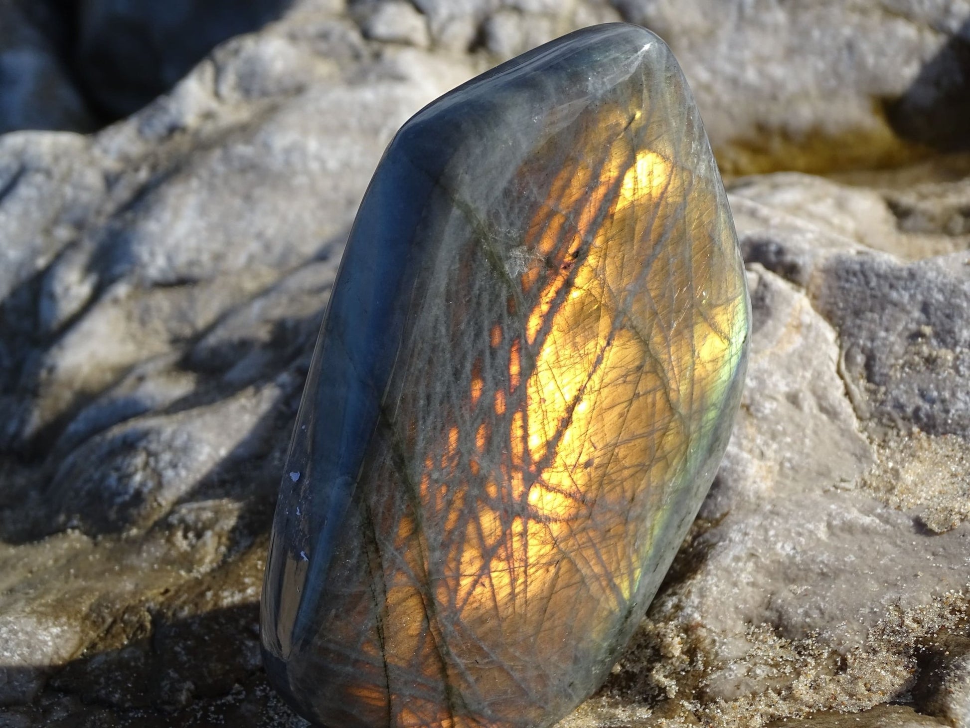 Labradorite Forme Libre - Pierres - Colibri Minéraux et Bien-être