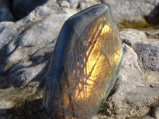 Labradorite Forme Libre - Pierres - Colibri Minéraux et Bien-être