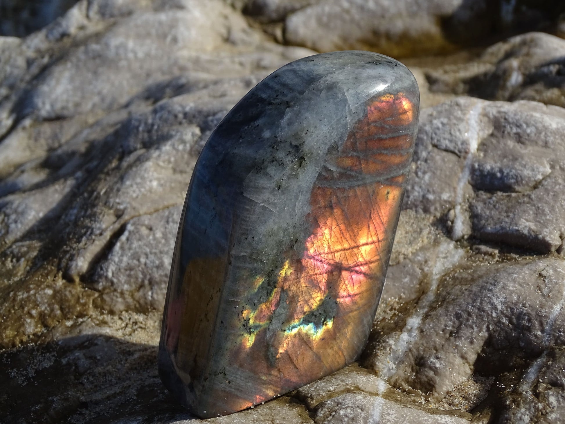 Labradorite Forme Libre - Pierres - Colibri Minéraux et Bien-être