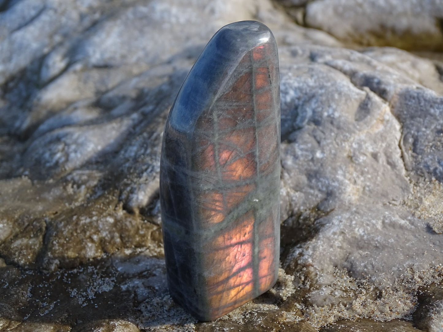 Labradorite Forme Libre - Pierres - Colibri Minéraux et Bien-être