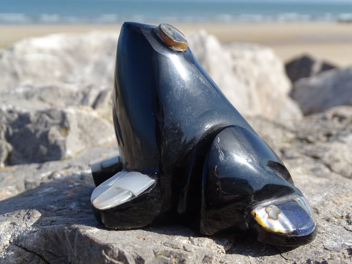 Animaux Obsidienne Noire Grenouille Abalone et Nacre - Pierres - Colibri Minéraux et Bien-être