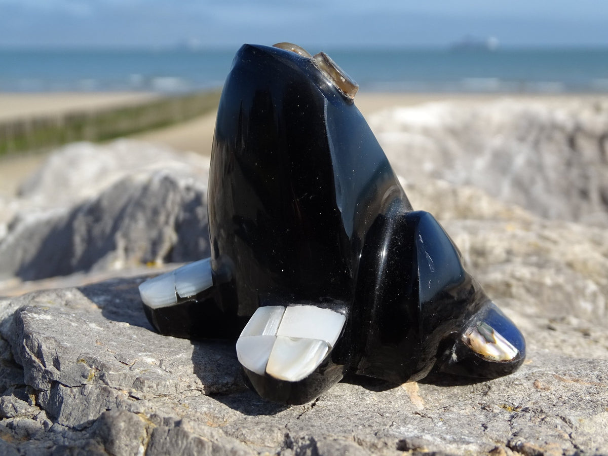 Animaux Obsidienne Noire Grenouille Abalone et Nacre - Pierres - Colibri Minéraux et Bien-être