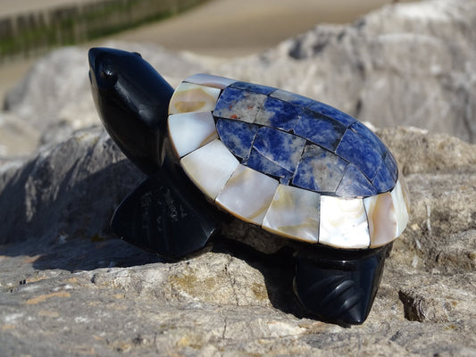 Animaux Obsidienne Noire Sodalite Nacre Tortue - Pierres - Colibri Minéraux et Bien-être