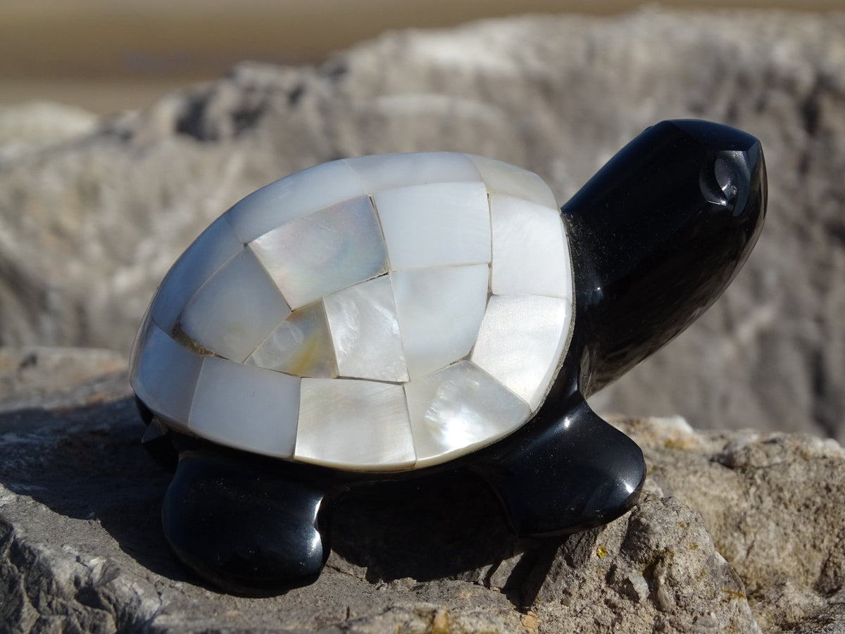 Animaux Obsidienne Noire Tortue Nacre - Pierres - Colibri Minéraux et Bien-être