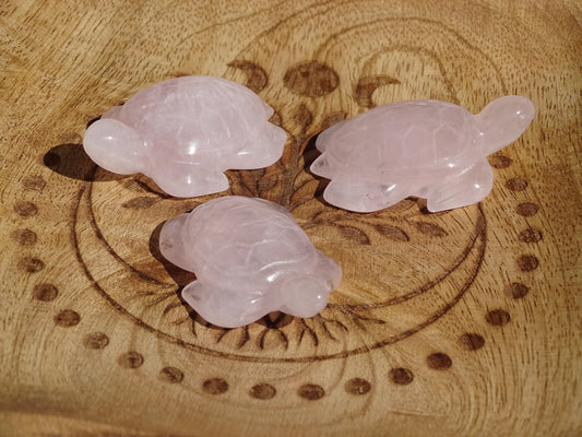 Animaux Quartz Rose Tortue - Cristaux - Colibri Minéraux et Bien-être