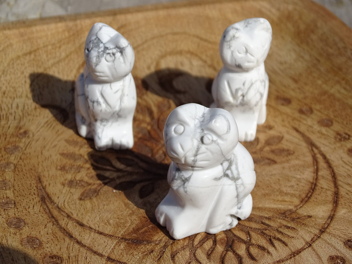Howlite Chat - Pierres - Colibri Minéraux et Bien-être