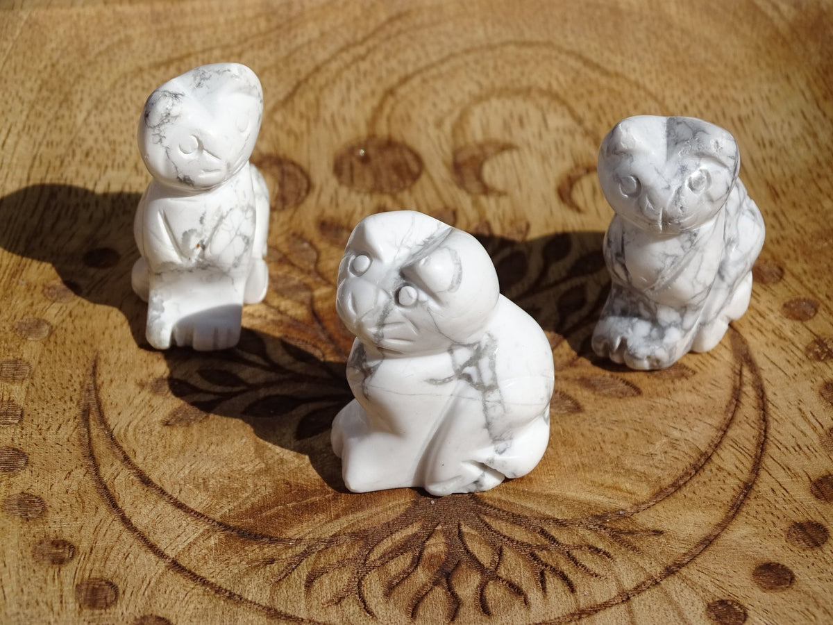 Howlite Chat - Pierres - Colibri Minéraux et Bien-être