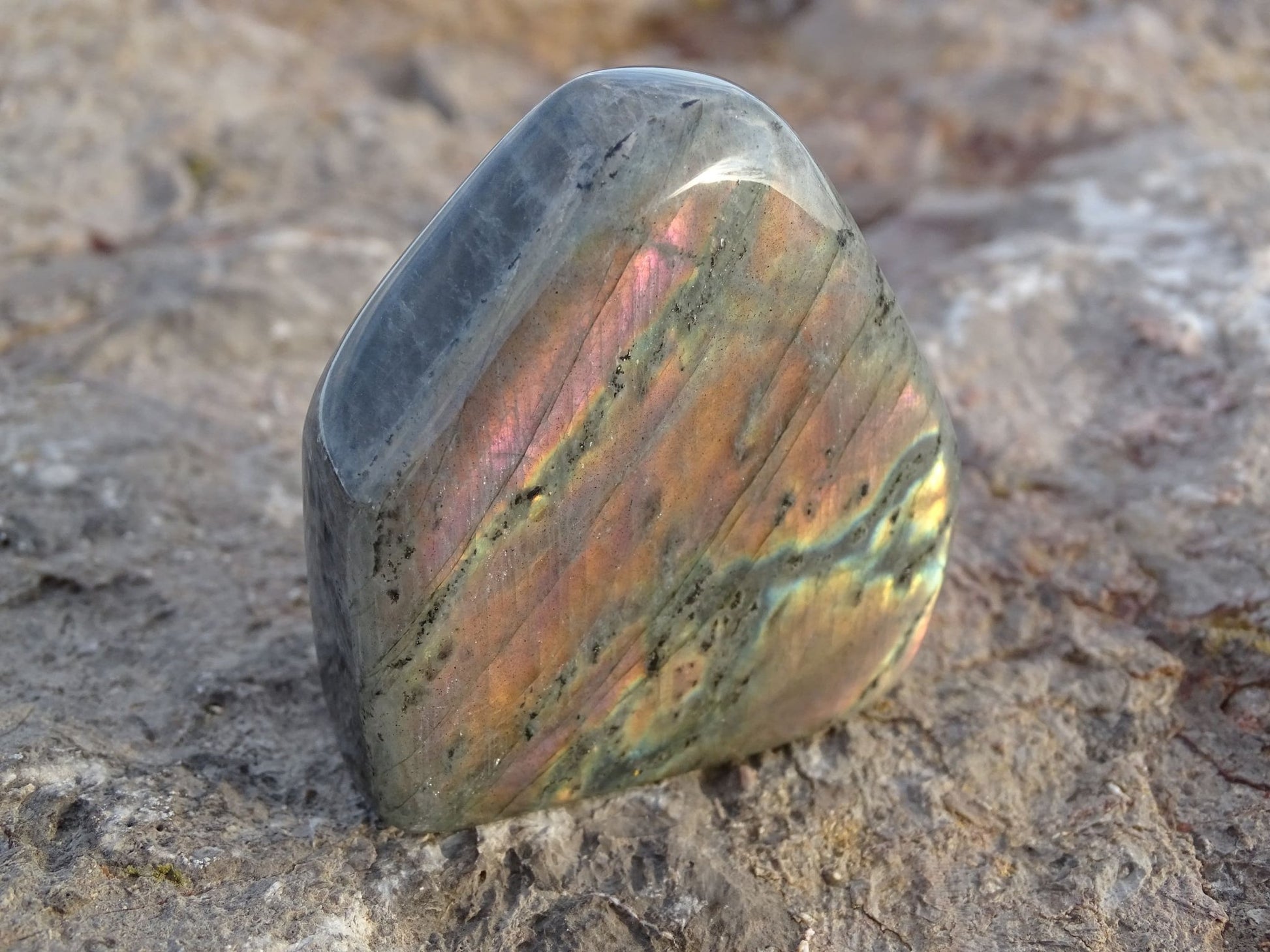Labradorite Forme Libre - Pierres - Colibri Minéraux et Bien-être