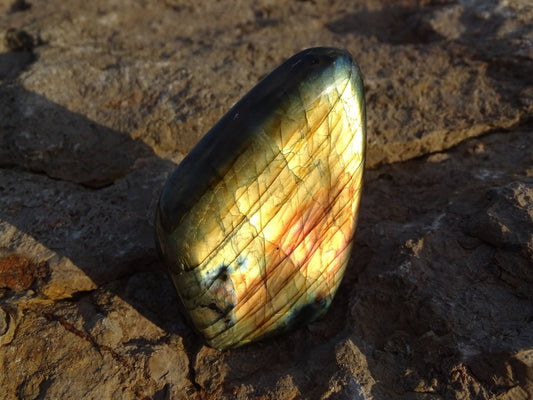 Labradorite Forme Libre - Pierres - Colibri Minéraux et Bien-être