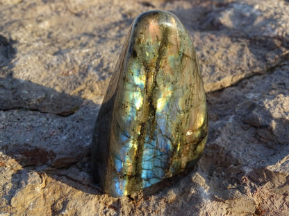 Labradorite Forme Libre - Pierres - Colibri Minéraux et Bien-être