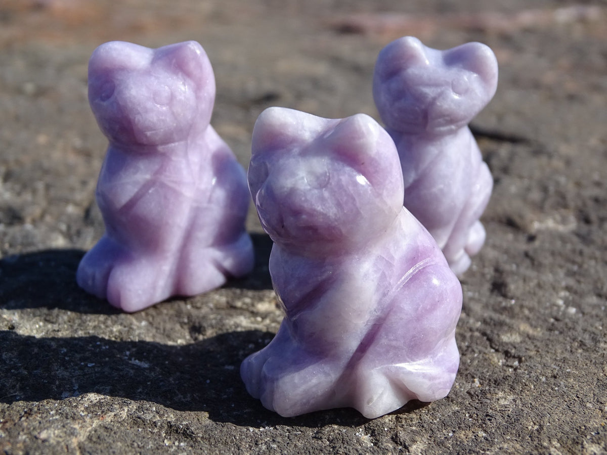 Lépidolite Chat - Pierres - Colibri Minéraux et Bien-être