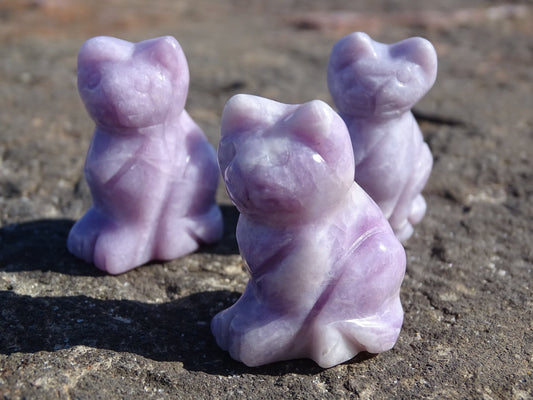 Lépidolite Chat - Pierres - Colibri Minéraux et Bien-être