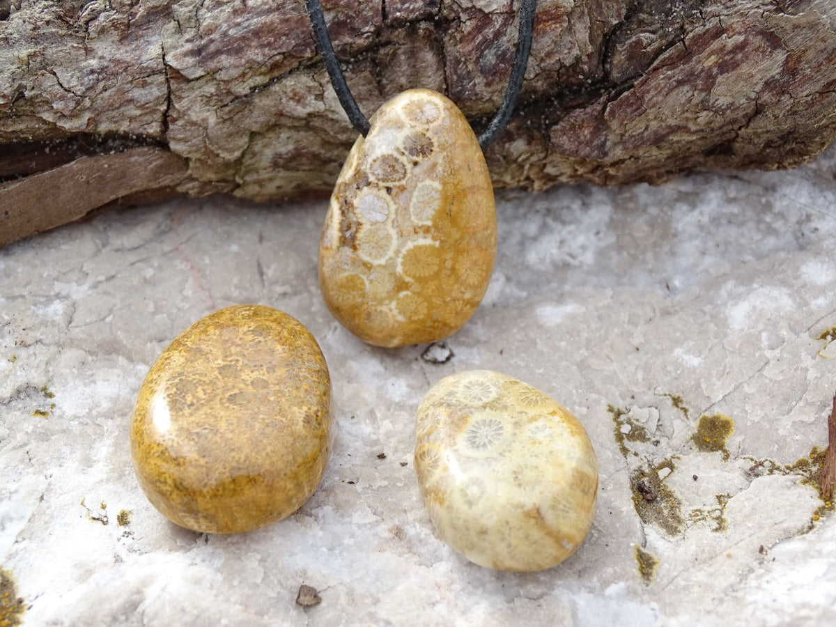 Pendentif Corail Fossile - Pendentifs - Colibri Minéraux et Bien-être
