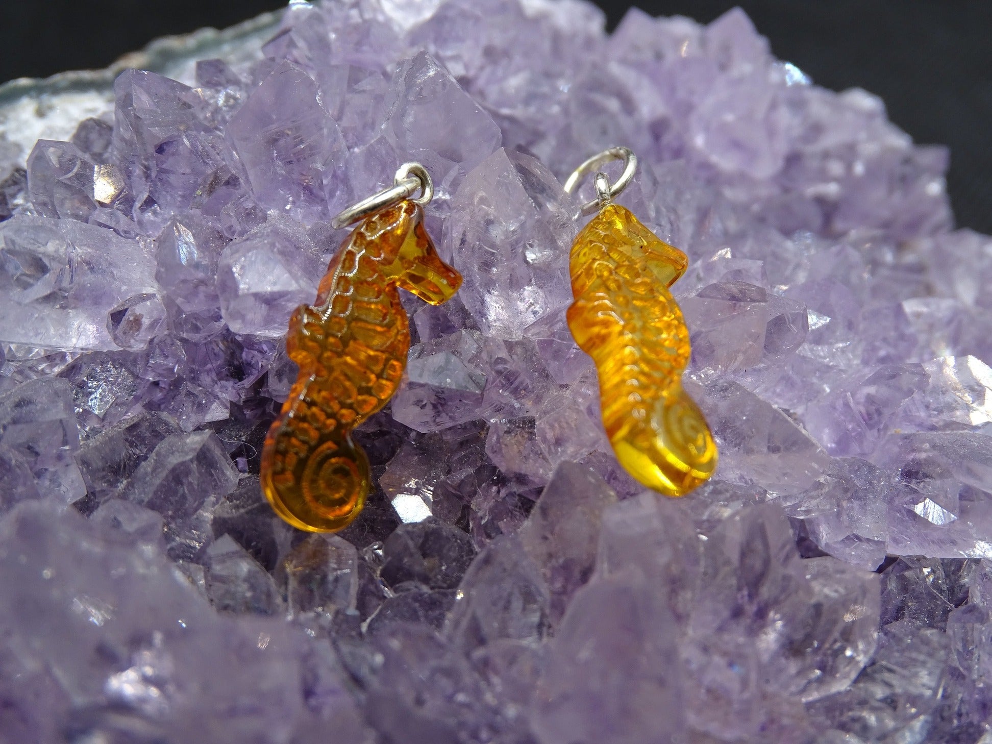 Pendentif Ambre Hippocampe - Pendentifs - Colibri Minéraux et Bien-être
