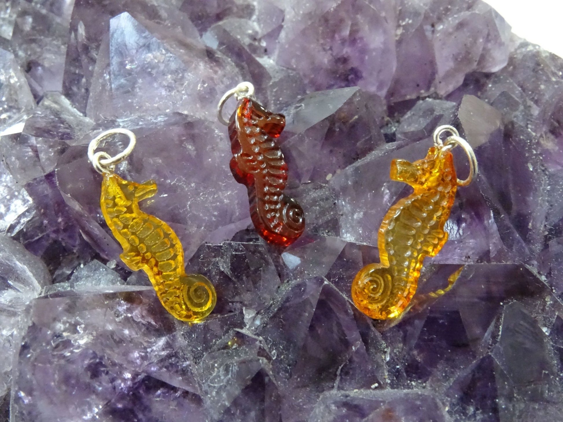 Pendentif Ambre Hippocampe - Pendentifs - Colibri Minéraux et Bien-être