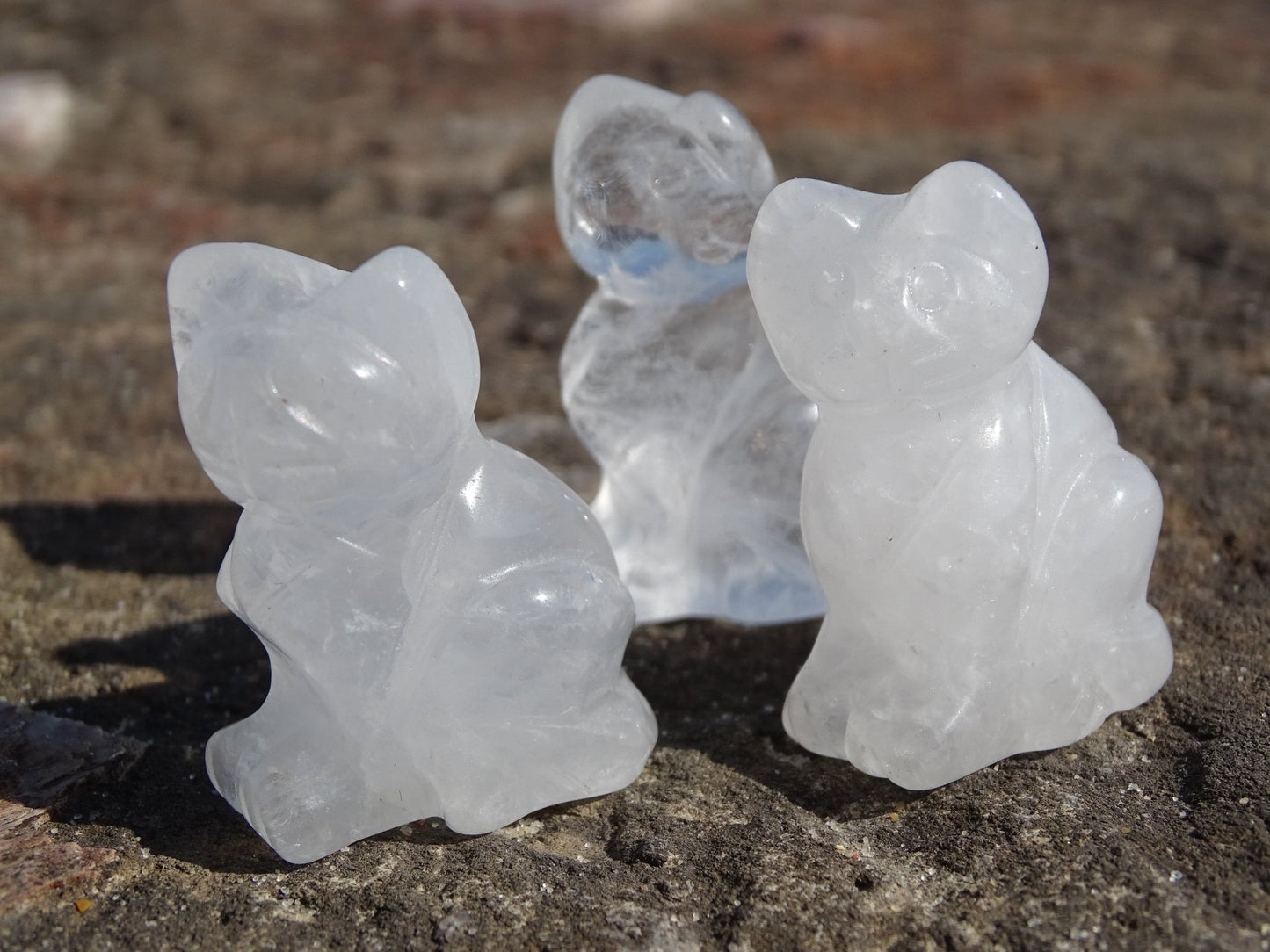 Quartz Cristal de Roche Chat - Cristaux - Colibri Minéraux et Bien-être
