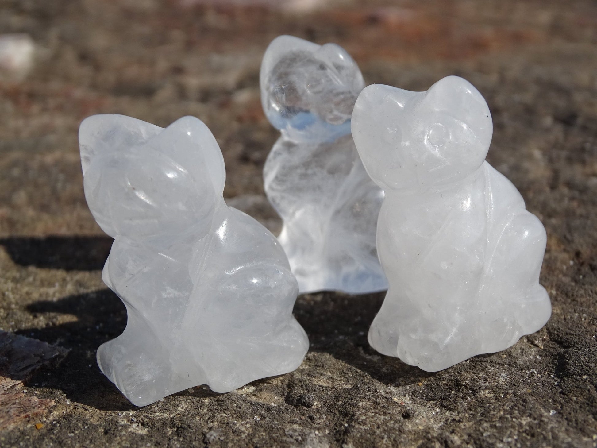 Quartz Cristal de Roche Chat - Cristaux - Colibri Minéraux et Bien-être