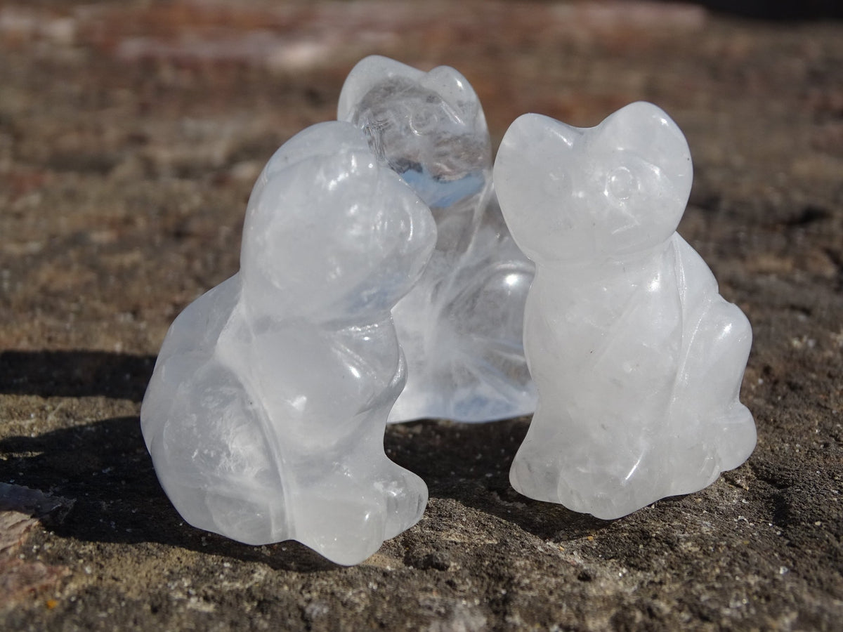 Quartz Cristal de Roche Chat - Cristaux - Colibri Minéraux et Bien-être