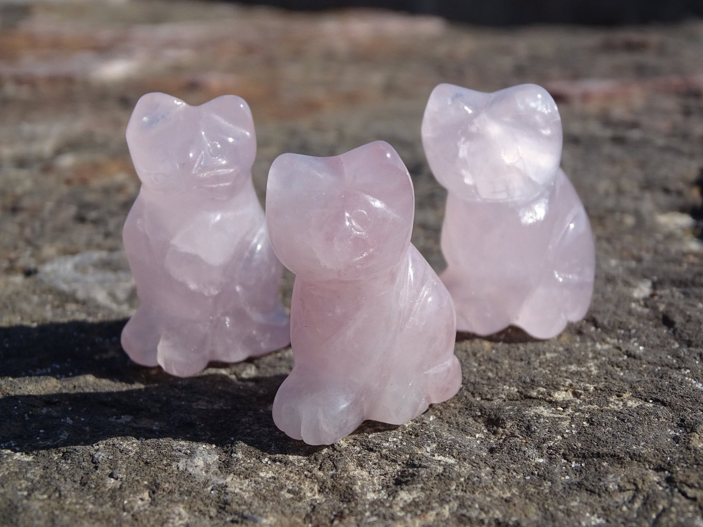 Quartz Rose Chat - Cristaux - Colibri Minéraux et Bien-être