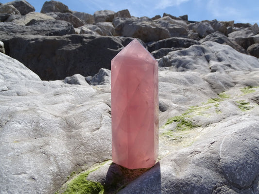 Quartz Rose Prisme - Cristaux - Colibri Minéraux et Bien-être