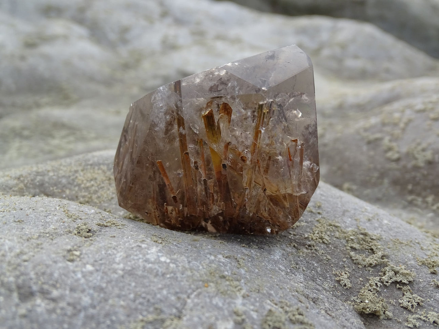 Quartz Rutile Forme Libre - Cristaux - Colibri Minéraux et Bien-être