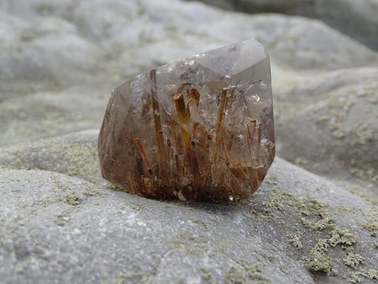Quartz Rutile Forme Libre - Cristaux - Colibri Minéraux et Bien-être