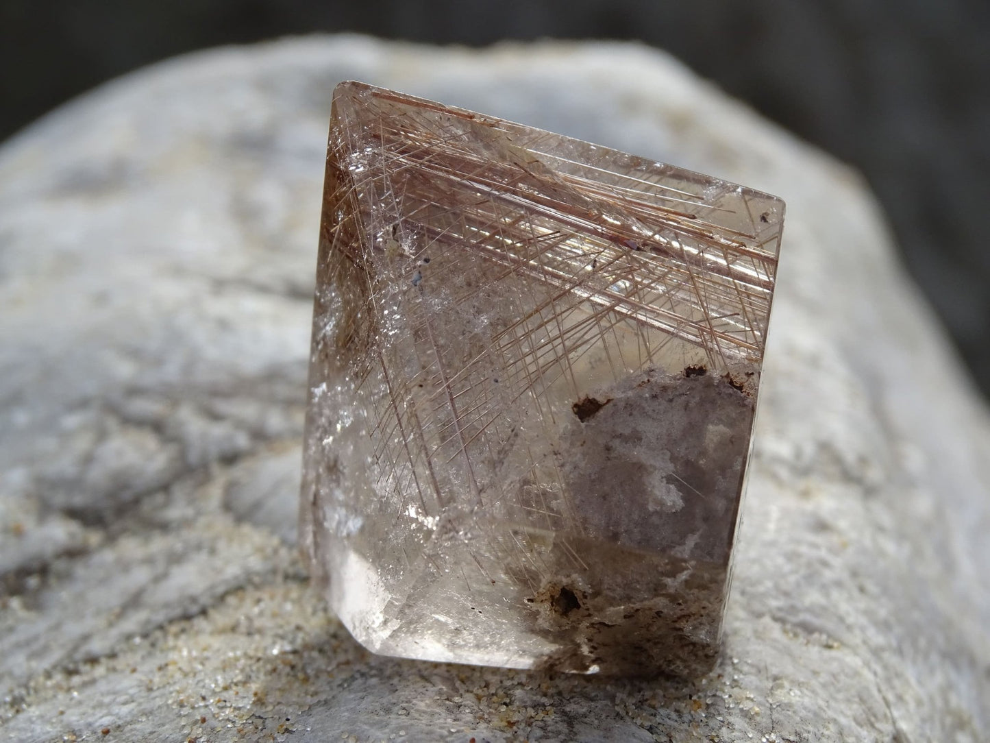 Quartz Rutile Forme Libre - Cristaux - Colibri Minéraux et Bien-être
