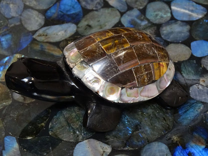 Animaux Obsidienne Noire Oeil de Tigre Tortue Abalone - Pierres - Colibri Minéraux et Bien-être