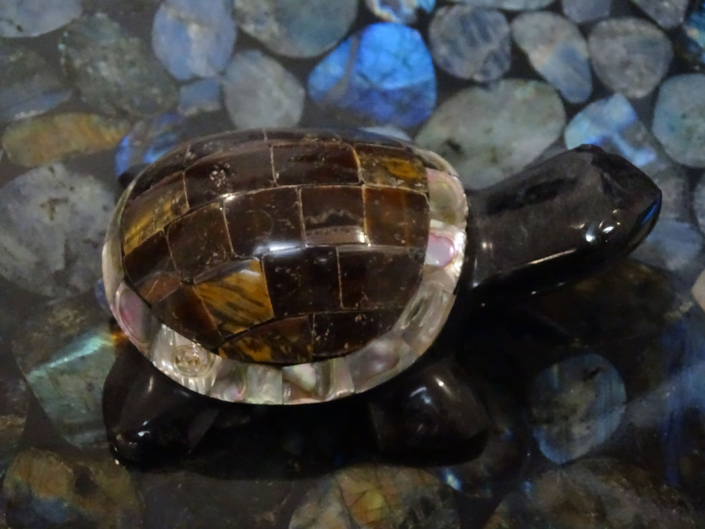 Animaux Obsidienne Noire Oeil de Tigre Tortue Abalone - Pierres - Colibri Minéraux et Bien-être