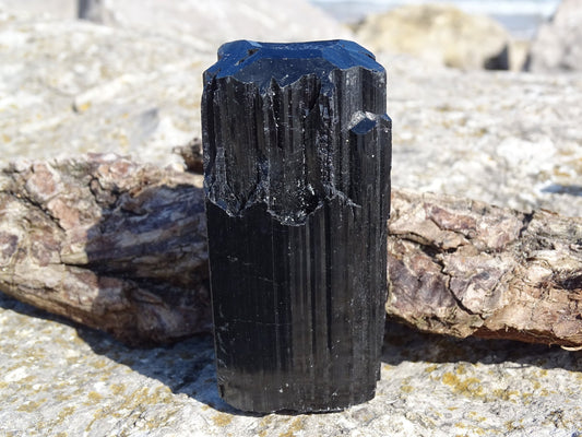 Tourmaline Noire Biterminée - Pierres - Colibri Minéraux et Bien-être